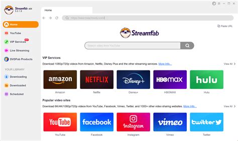 badassdownloader|7 Best Video Downloaders for Chrome to Use in 2024 .